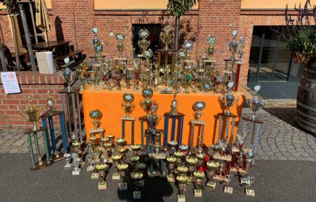 BSV 68 Sebnitz e.V. - Cheerleading - Die Sebnitzer Cheerstars - Pokale